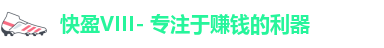 快盈VIII